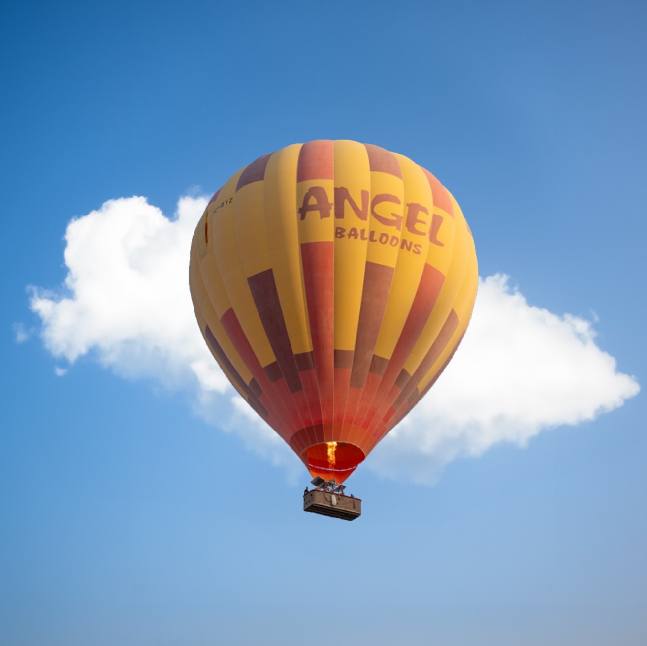 Angel Balloons